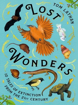 cover image of Lost Wonders